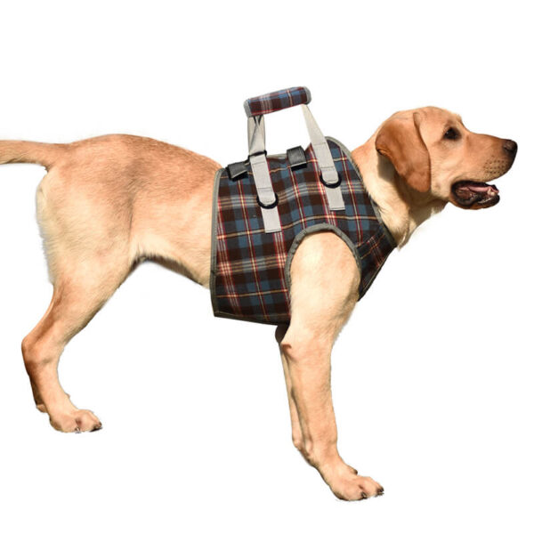 Dog Assisted Walking Harness For Front Leg Vd16 Product Image (6)