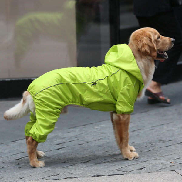 Medium And Large Dog One Piece Raincoat Vd03 Product Image (1)