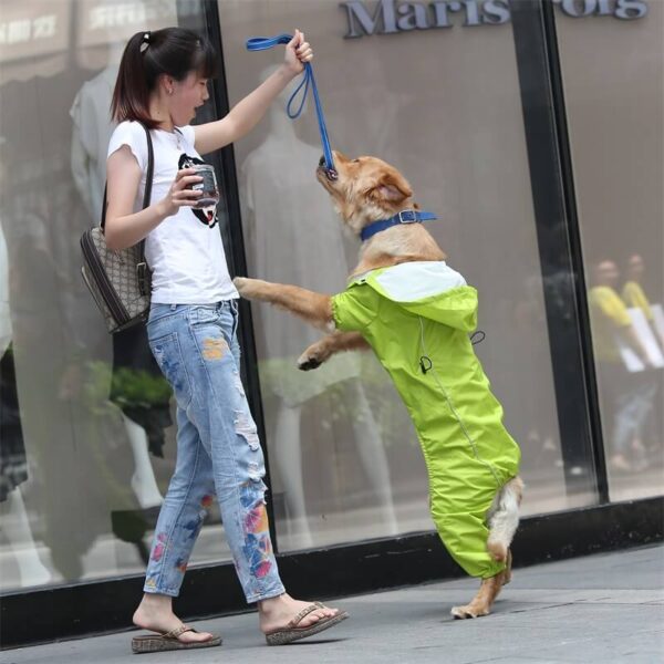 Medium And Large Dog One Piece Raincoat Vd03 Product Image (2)