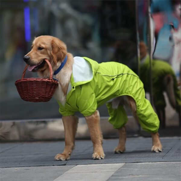 Medium And Large Dog One Piece Raincoat Vd03 Product Image (3)