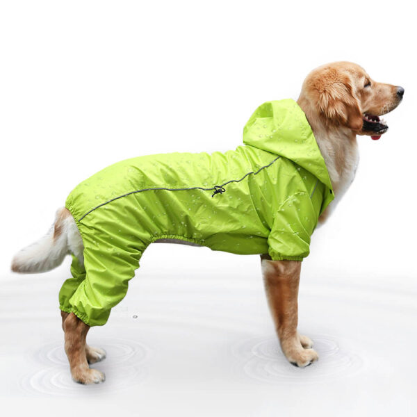 Medium And Large Dog One Piece Raincoat Vd03 Product Image (5)