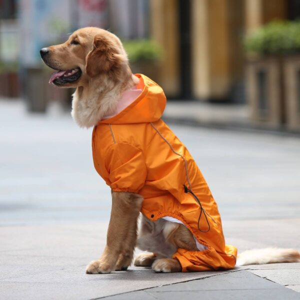 Medium And Large Dog One Piece Raincoat Vd03 Product Image (6)