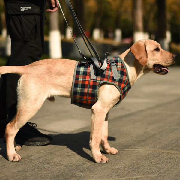 Plaid Orange